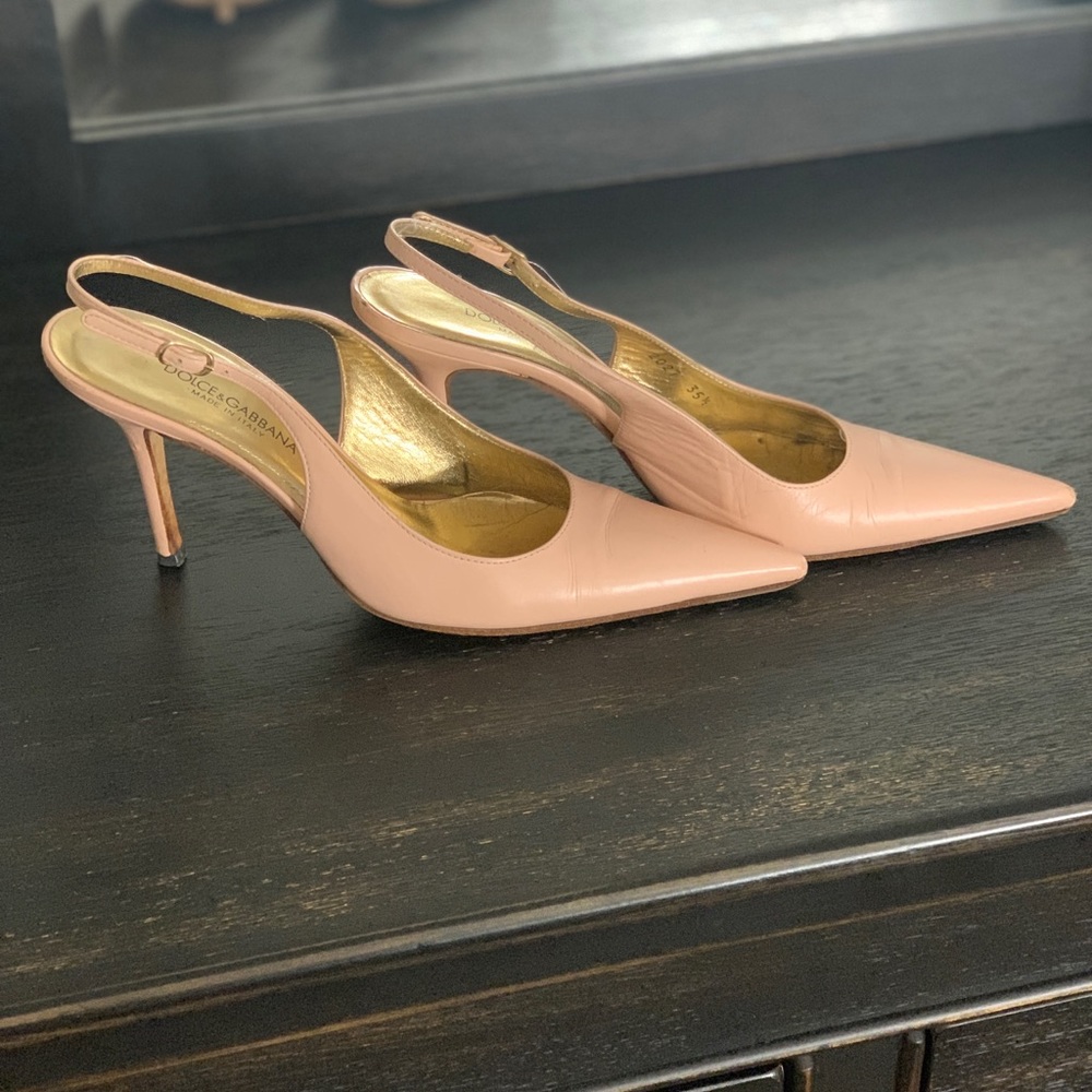 D&G Singback Pumps